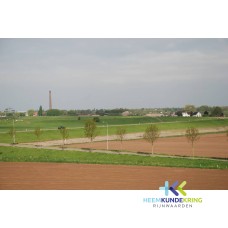 Uitzicht op Spijksedijk Spijk F00002638
